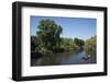 Boats on the River Thames-Natalie Tepper-Framed Photo