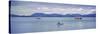 Boats on Water, Wrangell, Alaska, USA-null-Stretched Canvas