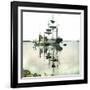 Boats, Oslo (Former Christiania), Norway-Leon, Levy et Fils-Framed Photographic Print