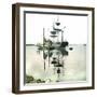 Boats, Oslo (Former Christiania), Norway-Leon, Levy et Fils-Framed Photographic Print