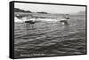 Boats Racing on Flathead Lake, Montana-null-Framed Stretched Canvas