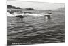 Boats Racing on Flathead Lake, Montana-null-Mounted Premium Giclee Print