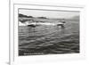 Boats Racing on Flathead Lake, Montana-null-Framed Art Print