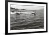 Boats Racing on Flathead Lake, Montana-null-Framed Art Print