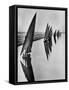 Boats Sailing Along Suez Canal-Alfred Eisenstaedt-Framed Stretched Canvas