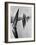 Boats Sailing Along Suez Canal-Alfred Eisenstaedt-Framed Photographic Print