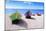 Boats Stored on a Caribbean Beach, Puerto Rico-George Oze-Mounted Photographic Print