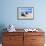 Boats Stored on a Caribbean Beach, Puerto Rico-George Oze-Framed Photographic Print displayed on a wall