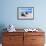 Boats Stored on a Caribbean Beach, Puerto Rico-George Oze-Framed Photographic Print displayed on a wall