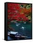 Boats with Tourists Showing Arashiyama's Autumn Colours, Kyoto, Japan-Frank Carter-Framed Stretched Canvas