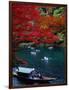 Boats with Tourists Showing Arashiyama's Autumn Colours, Kyoto, Japan-Frank Carter-Framed Photographic Print