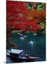 Boats with Tourists Showing Arashiyama's Autumn Colours, Kyoto, Japan-Frank Carter-Mounted Photographic Print