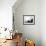 Boats-null-Framed Photographic Print displayed on a wall