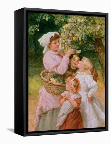 Bob Apple-Frederick Morgan-Framed Stretched Canvas