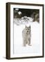 Bob Cat-null-Framed Photographic Print