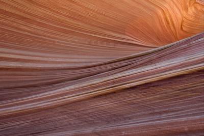 Close-up of sinuous eroded banded sandstone rocks, The Wave, Arizona