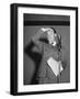 Bob Hope During Show for Soldiers During WWII-null-Framed Photographic Print