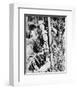 Bob Hope-null-Framed Photo