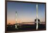 Bob Kerrey Pedestrian Bridge, Missouri River, Omaha, Nebraska, USA-Walter Bibikow-Framed Photographic Print