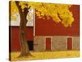 Stretched Canvas