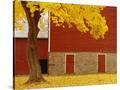 Stretched Canvas