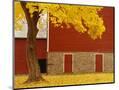 Wood Mount
