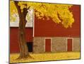 Wood Mount