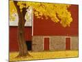 Wood Mount