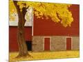 Wood Mount