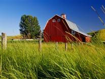 Red Barn in Long Grass-Bob Krist-Photographic Print