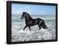 Essential Black