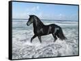 Canvas Black