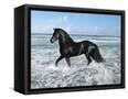 Canvas Black