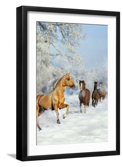 Premium Photographic Print, , large