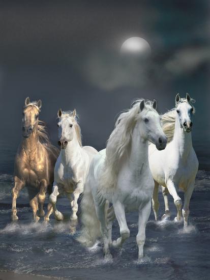 Premium Photographic Print, , large