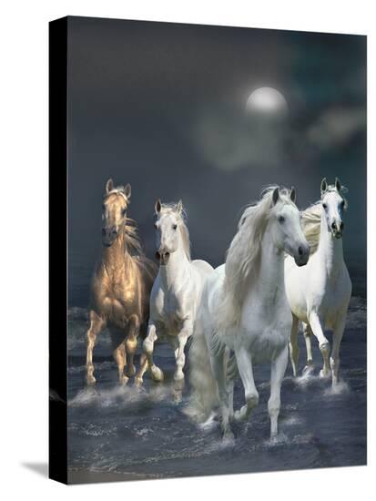 Stretched Canvas Print, , large