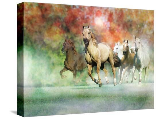 Stretched Canvas Print, , large