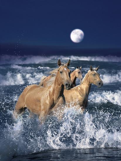 Premium Photographic Print, , large