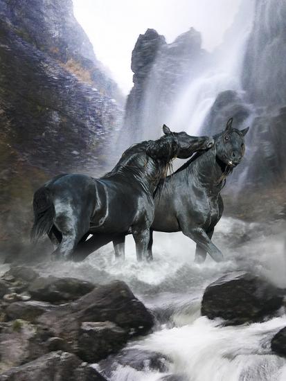 Dream Horses 065 Photographic Print Bob Langrish AllPosters Dream Horses 065 Photographic Print Bob Langrish AllPosters