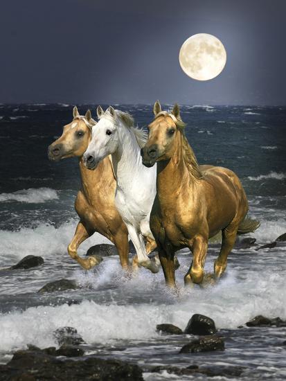 Premium Photographic Print, , large