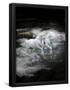 Essential Black