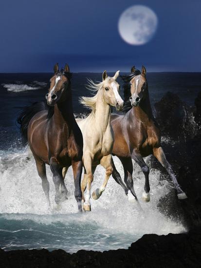 Photographic Print, , large