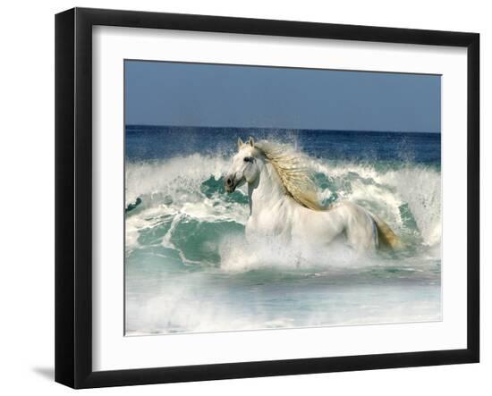 Photographic Print, , large