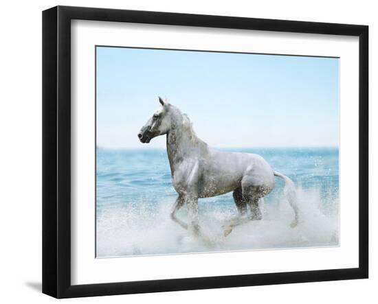 Premium Photographic Print, , large