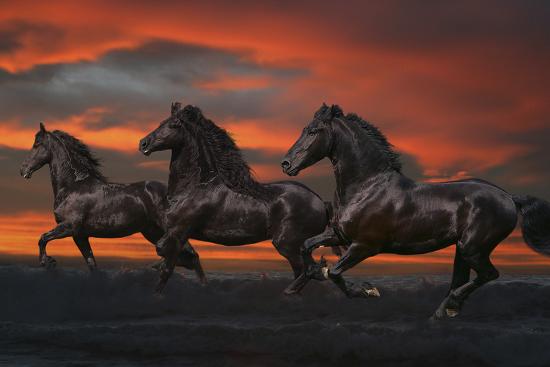 Photographic Print, , large