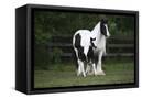 Canvas Black
