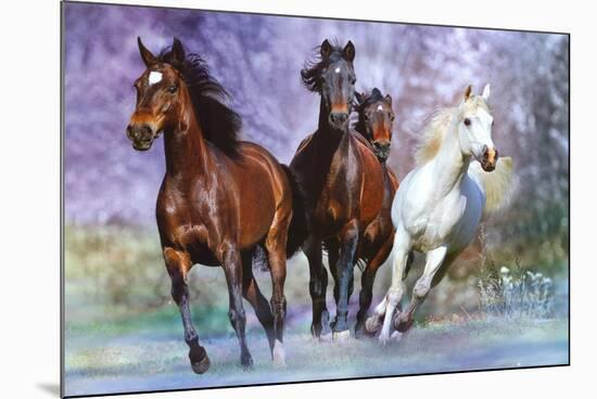 Bob Langrish: Running Wild-Bob Langrish-Mounted Poster