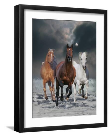 Premium Photographic Print, , large