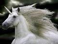 Just the Print