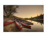 Yellow Canoes-Bob Larson-Art Print